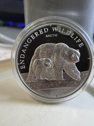 第195期拍卖 - 库克2008年野生北极熊镶嵌施华洛士奇水晶银币，925银，25克，发行2500枚