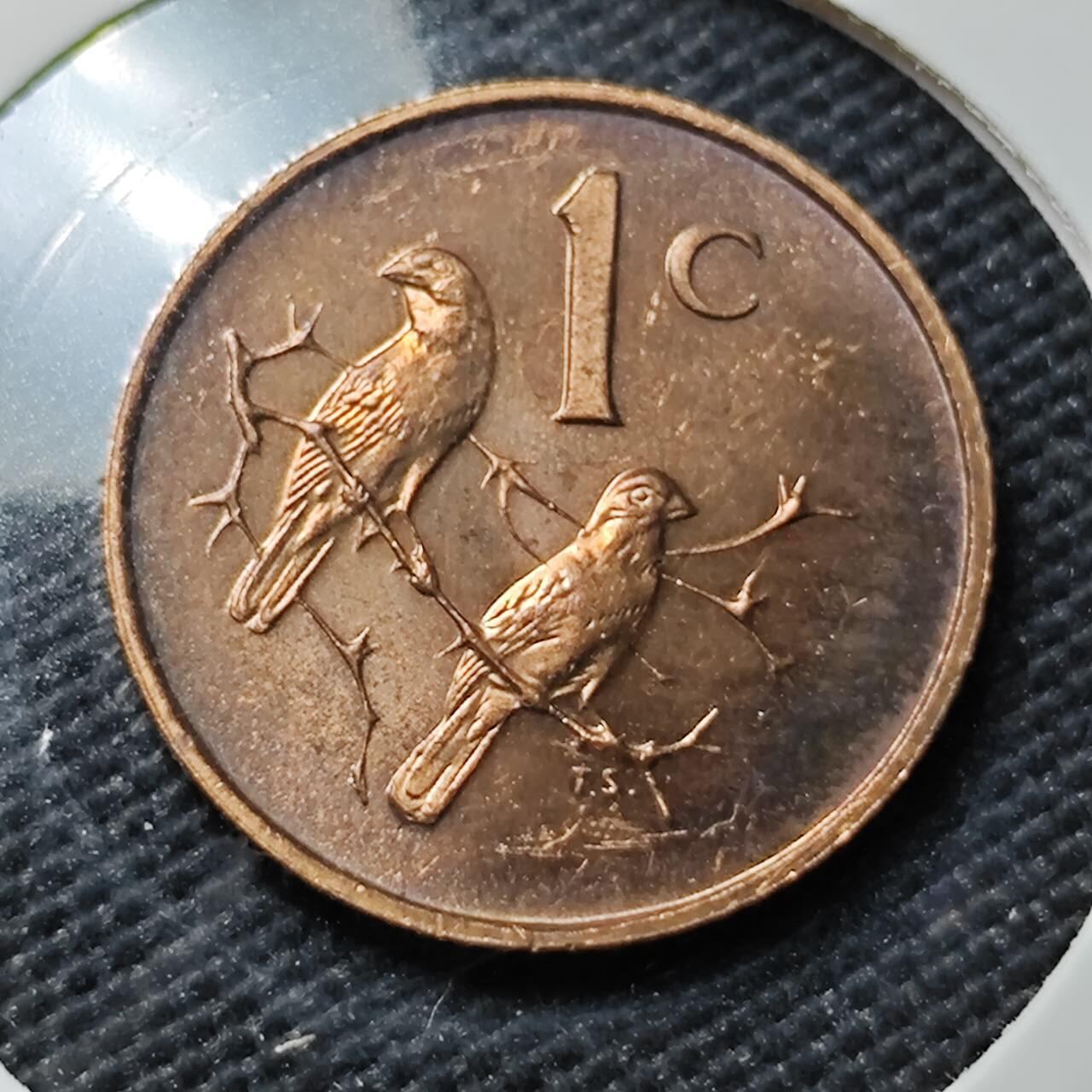 KK钱币收藏小铺  第408期 2月预留时间 周末发货  1967南非1分 精制