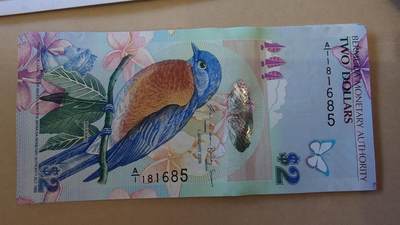 世界钱币～微拍第241期暨2026年第22期  部分新货（群里挑剩）陆续上架 - 2009年百慕大2元鸟钞 A1冠全新绝品无47尾号685