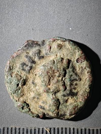 123期新疆红钱粟特钱币丝路钱币专场 - F2丝路铜币版式