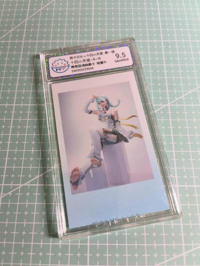 C先生 第25期 零抽层免费代拍  持续收拍品中  需要送拍的老板可以加微私聊 - 【拍立得】姬卡文化《十四小天使》限量10  R14  9.5分