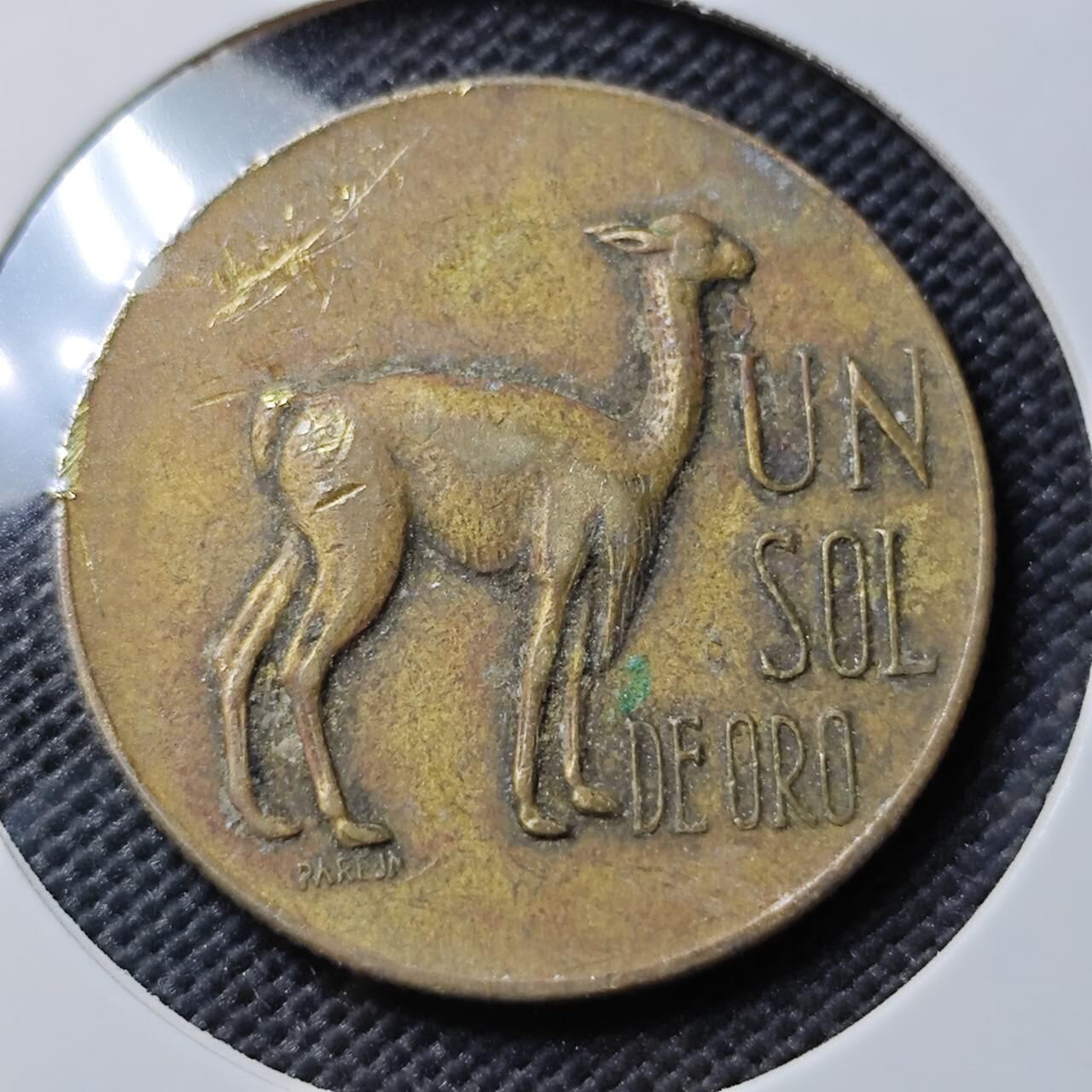 KK钱币收藏小铺  第408期 2月预留时间 周末发货  