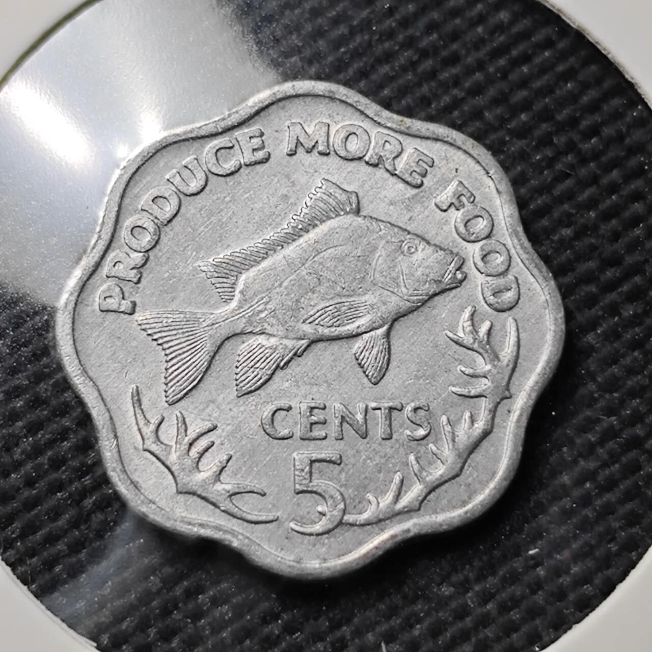 KK钱币收藏小铺  第407期 2月预留时间 周末发货