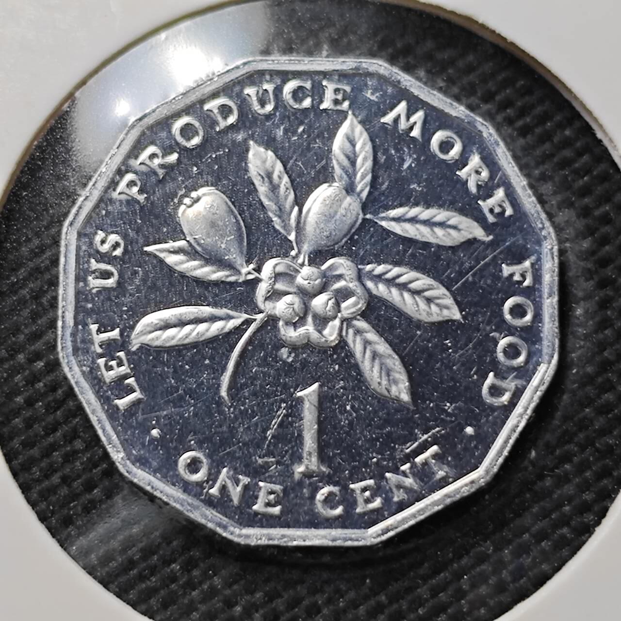 KK钱币收藏小铺  第408期 2月预留时间 周末发货   1980牙买加1分精制币