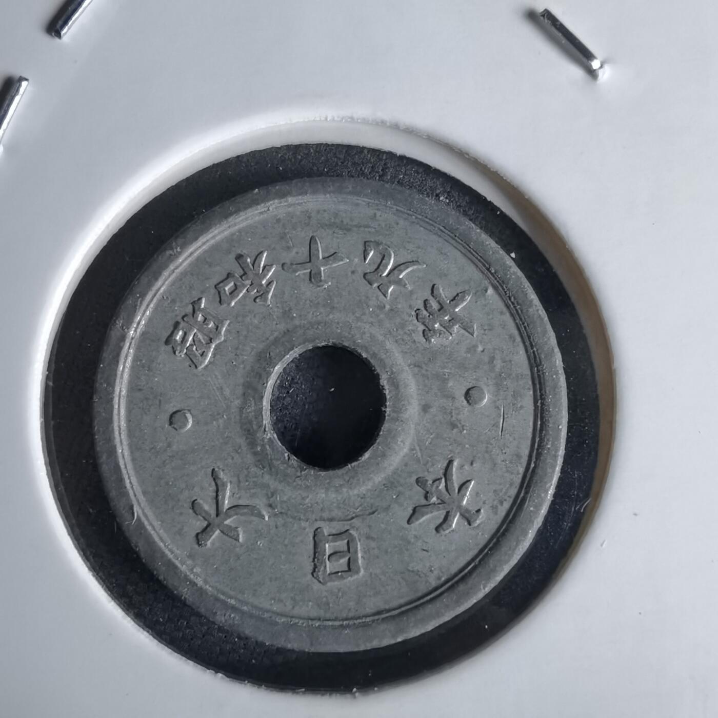 沼泽如烟--第1034场