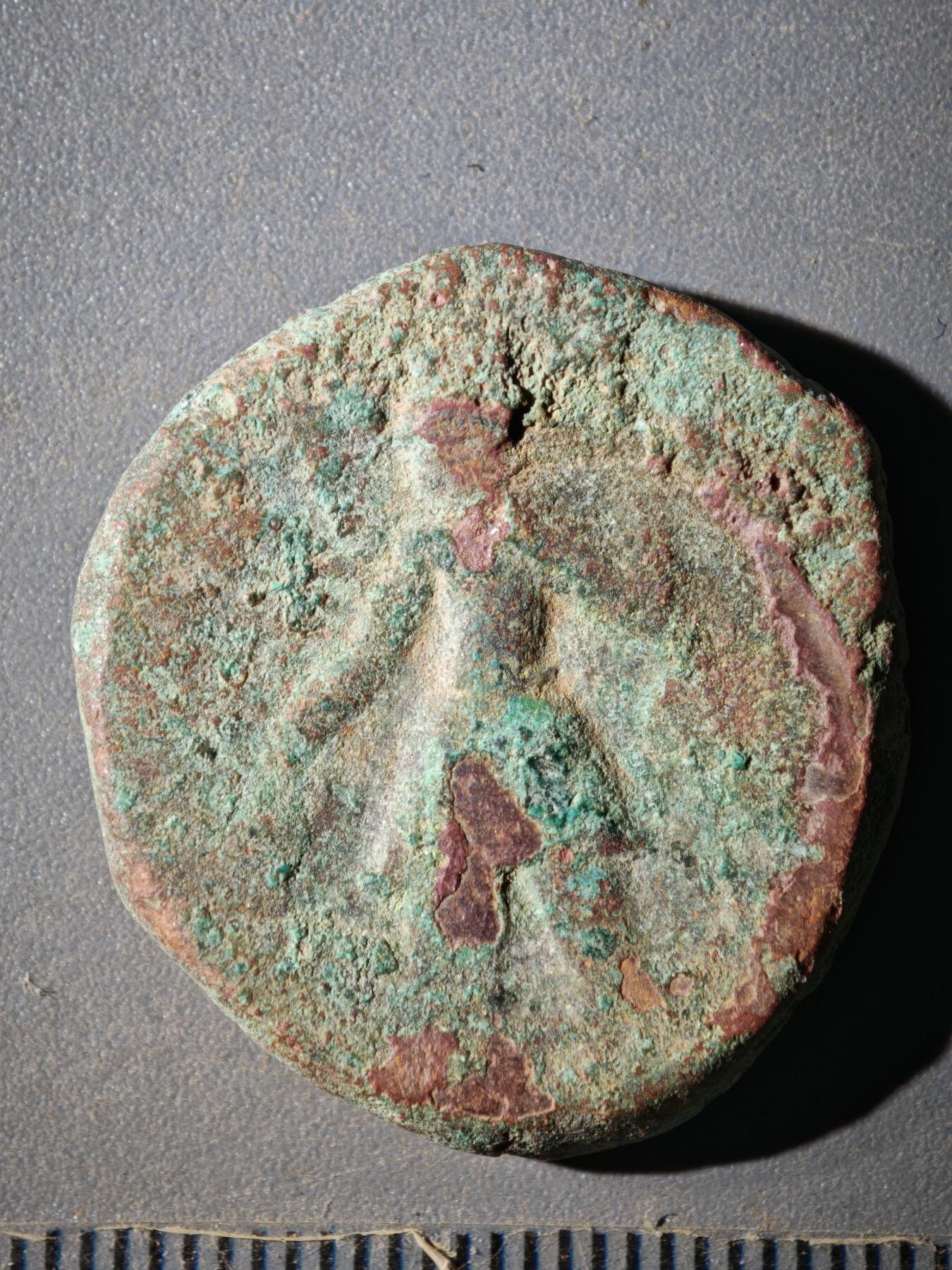 123期新疆红钱粟特钱币丝路钱币专场 F1丝路铜币版式