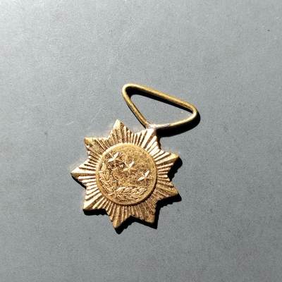 PCAI钱币  27-789  钱币证章邮票小专场 - 缅甸政府军奖章