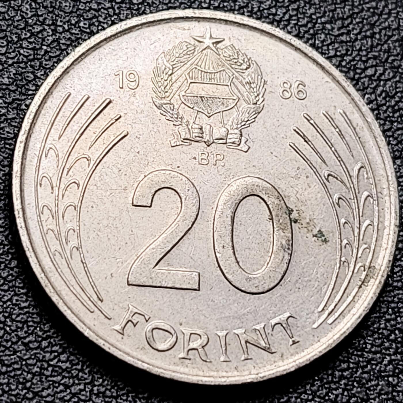 泉币菌-第216场-拍品多 请提前出价 。