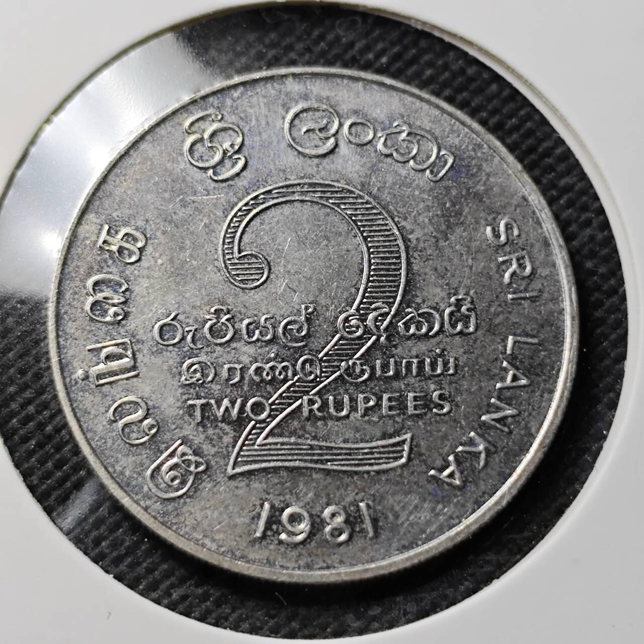 KK钱币收藏小铺  第408期 2月预留时间 周末发货  