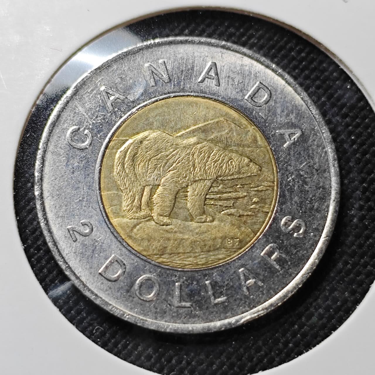 KK钱币收藏小铺  第409期 2月预留时间 周末发货