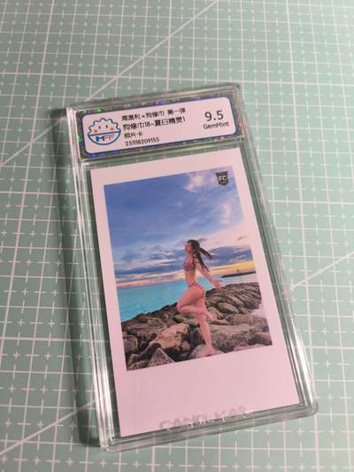 C先生 第25期 零抽层免费代拍  持续收拍品中  需要送拍的老板可以加微私聊 - 【照片卡】海温利《狗修巾》夏日精灵 9.5分