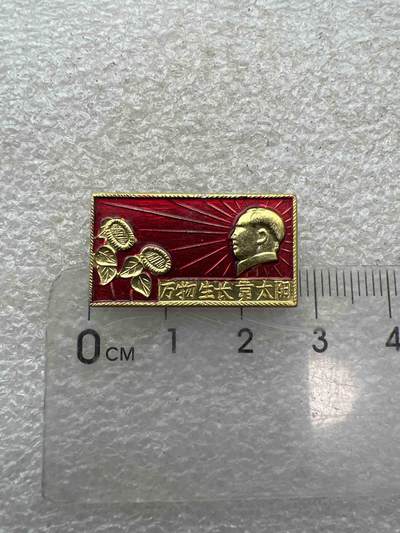 真品像章、纪念章、 - 真品像章、纪念章、