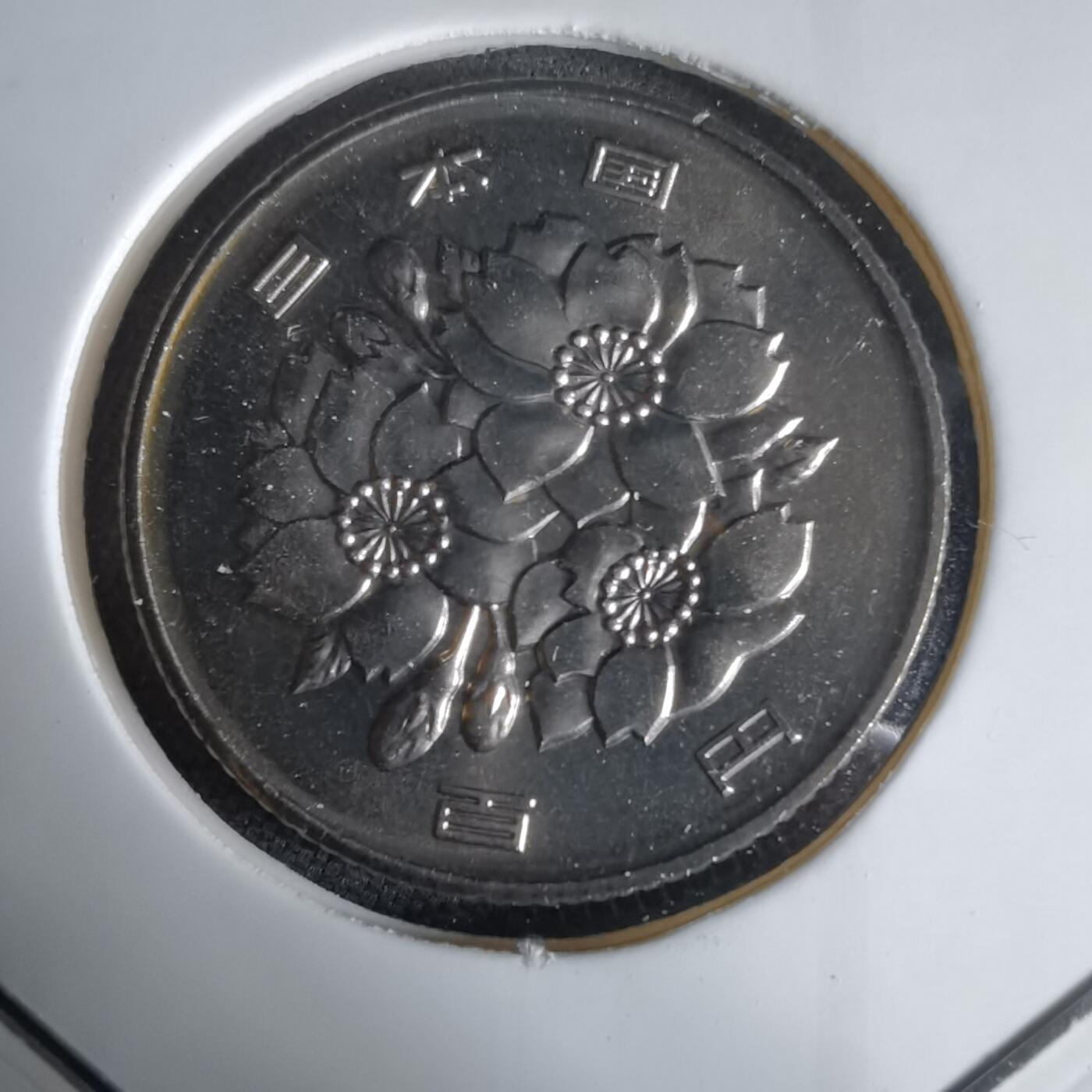 沼泽如烟--第1034场