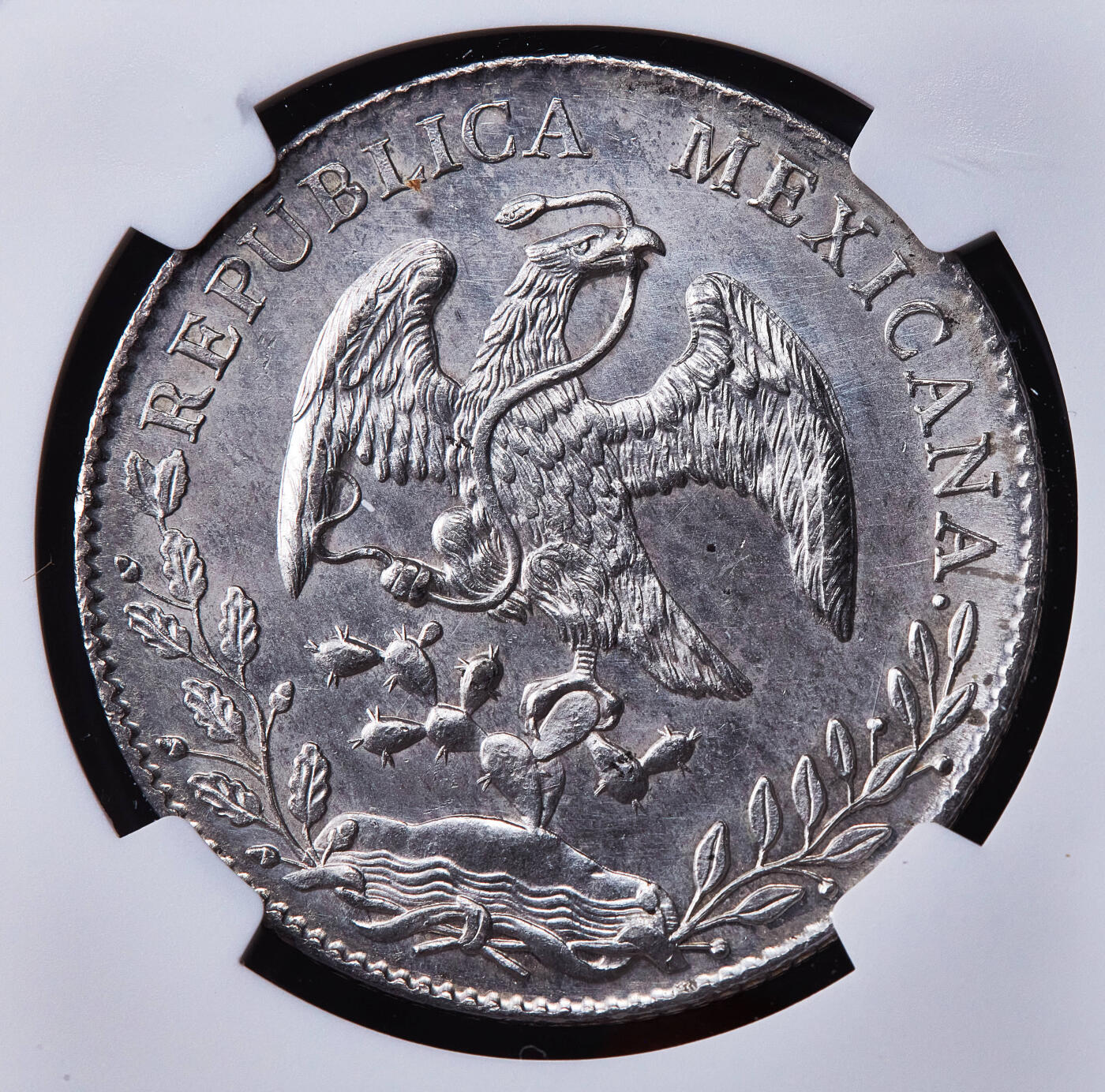 【俄甄集藏】2026年(050)04-01星期三 晚 19:30 全场包邮 墨西哥1894年As ML版8里亚尔鹰洋大银币，NGC UNCD，原味包浆，原光品相