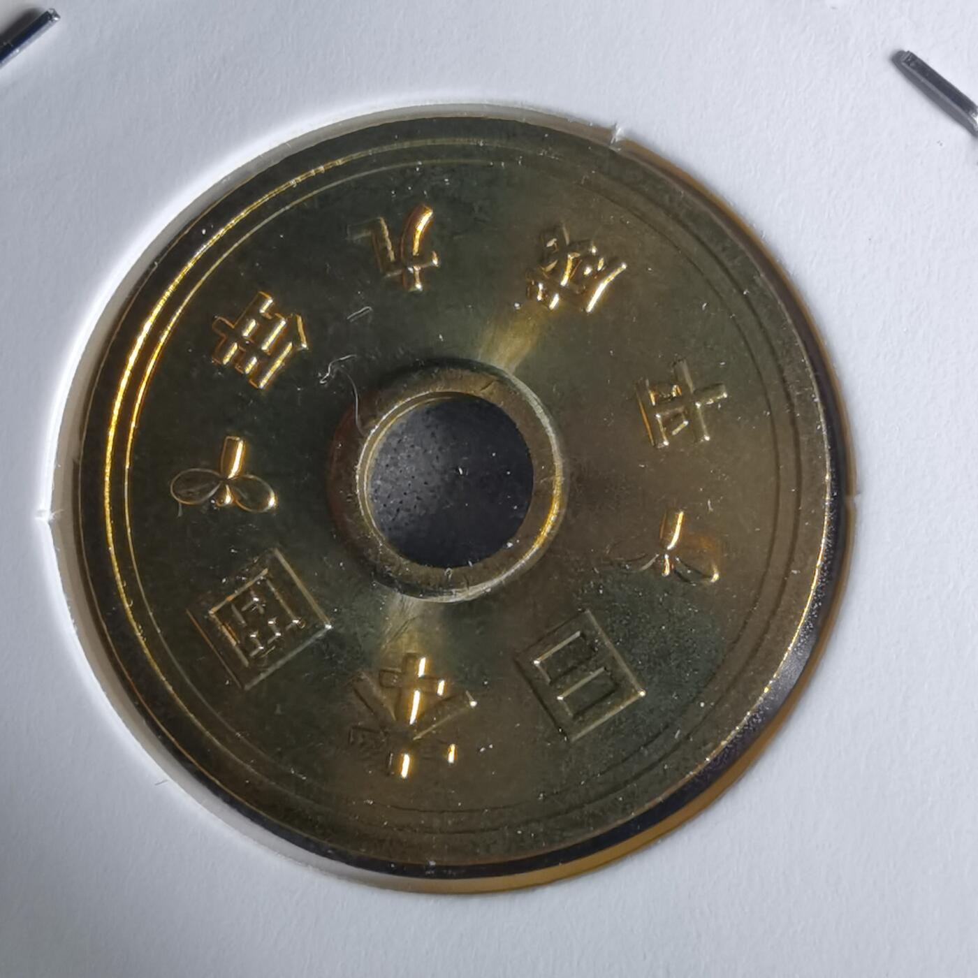 沼泽如烟--第1034场