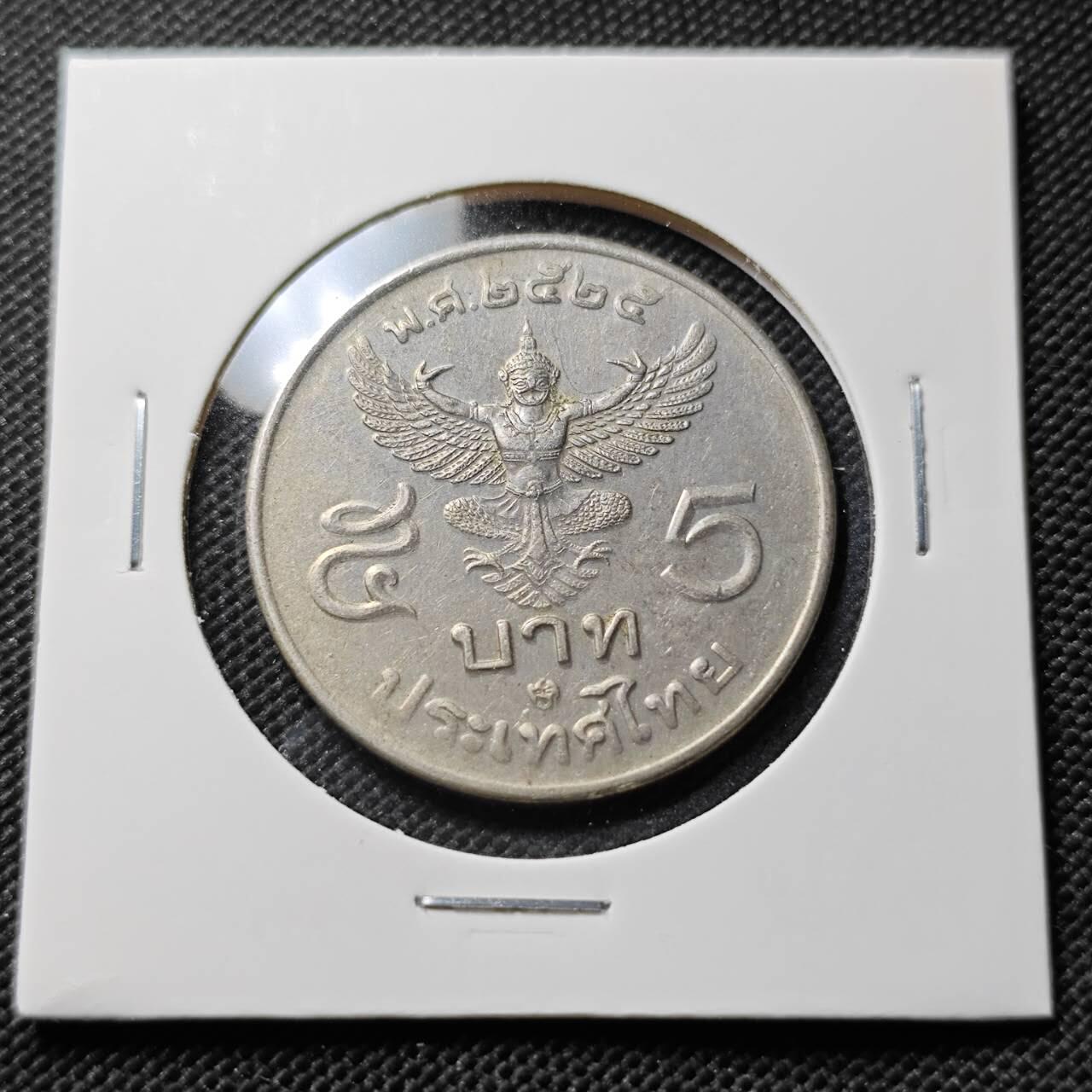 KK钱币收藏小铺  第408期 2月预留时间 周末发货  