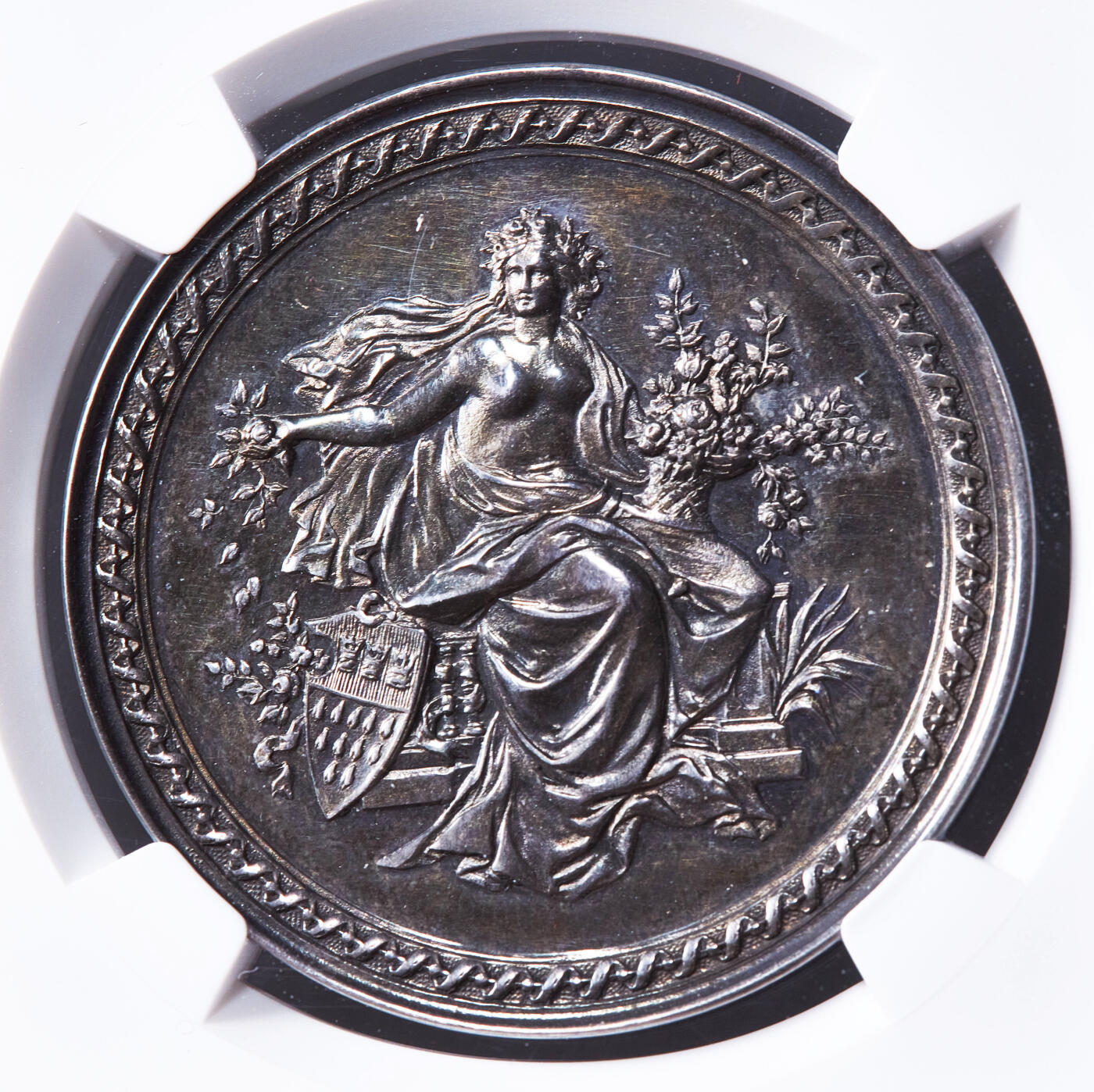 【俄甄集藏】2026年(050)04-01星期三 晚 19:30 全场包邮 德国1888年纪念科隆国际园艺博览会大银章，NGC UNCD，酱彩包浆，高浮雕，少见品种