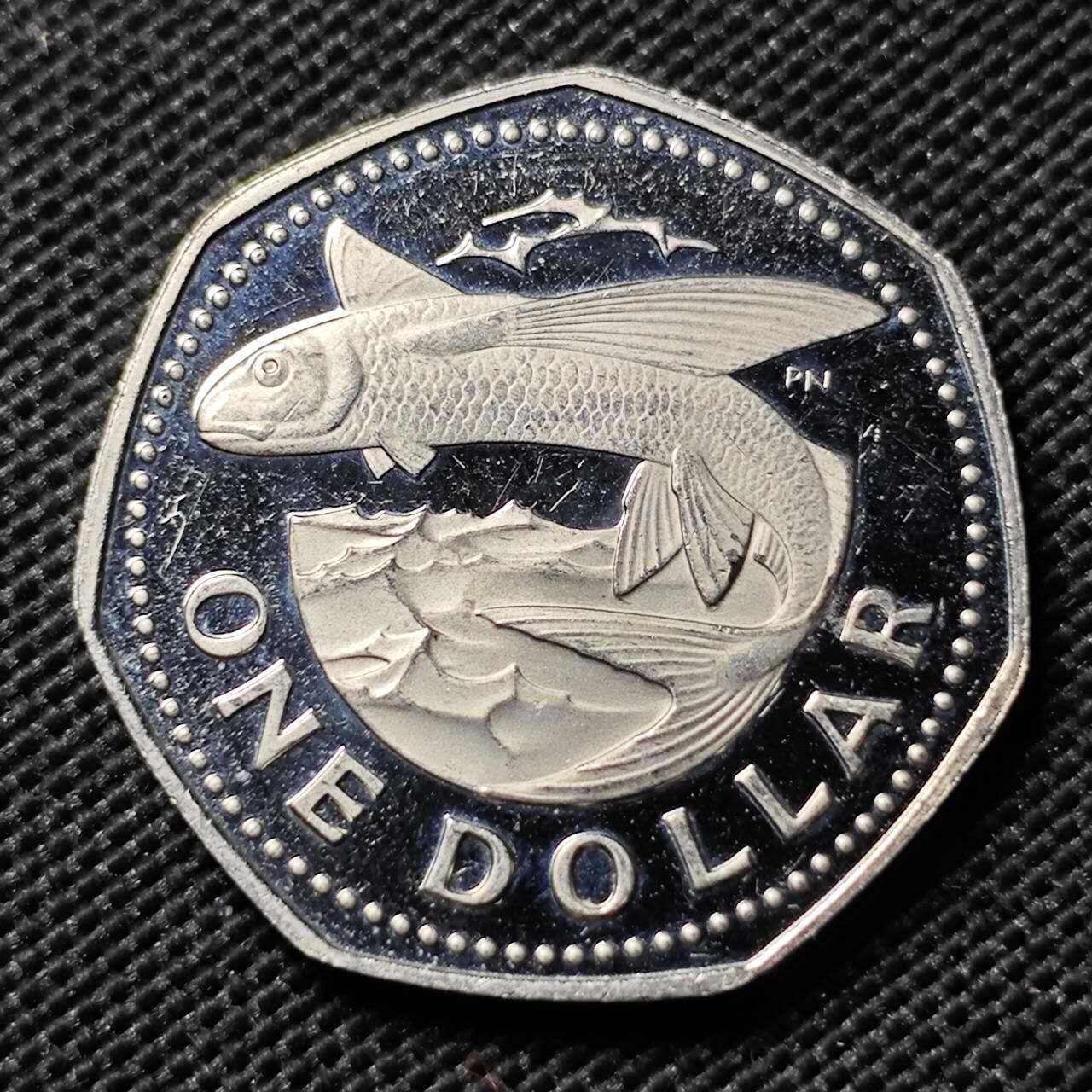 KK钱币收藏小铺  第408期 2月预留时间 周末发货