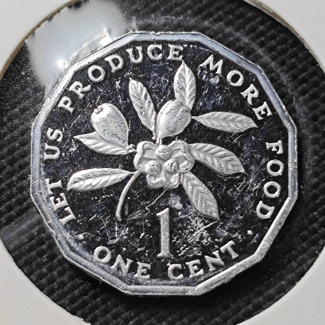 KK钱币收藏小铺  第408期 2月预留时间 周末发货