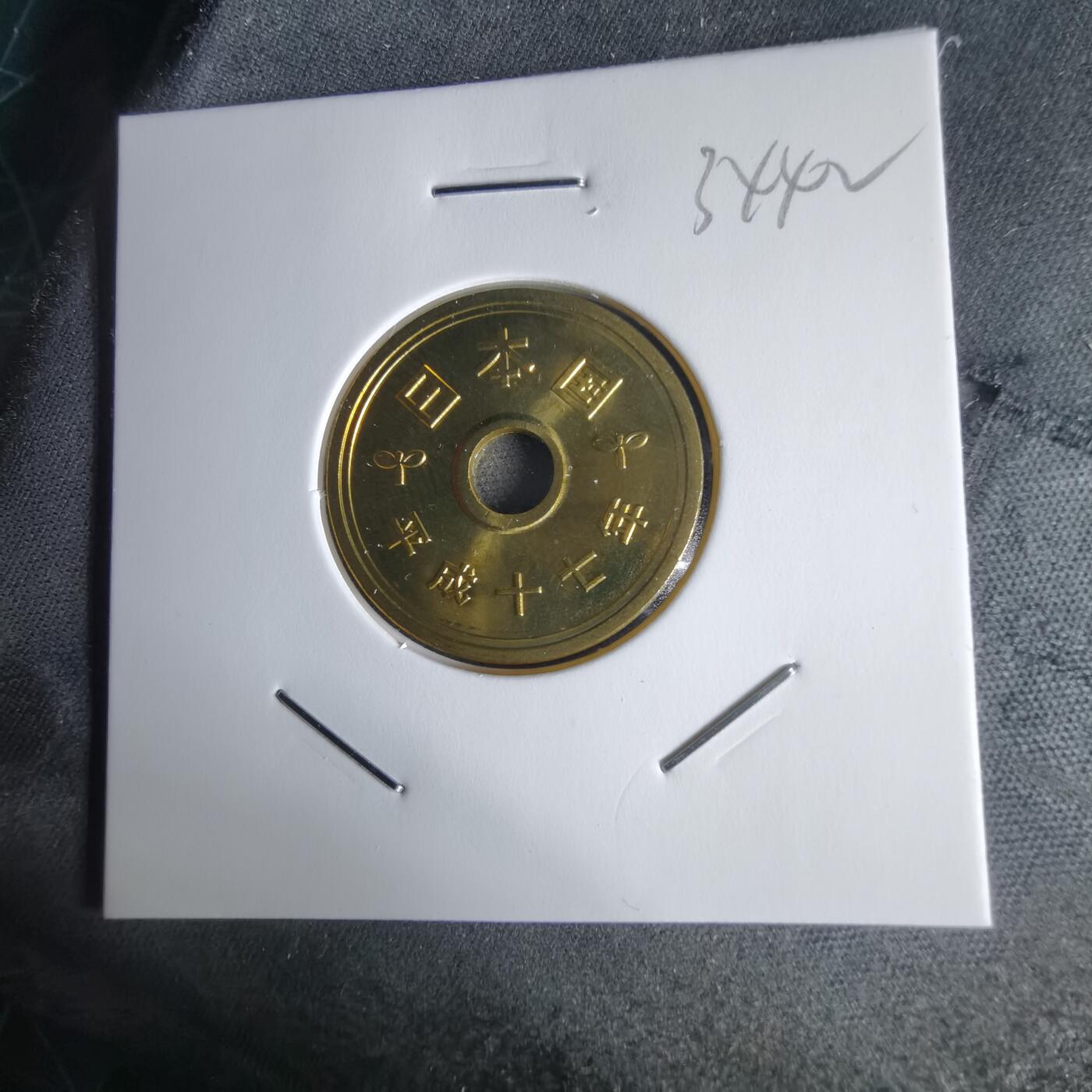 沼泽如烟--第1034场