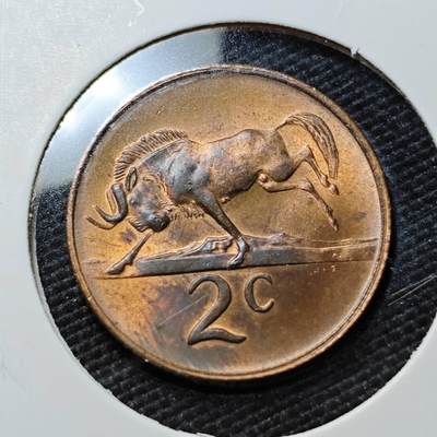 KK钱币收藏小铺  第408期 2月预留时间 周末发货 -  1970南非2分铜币