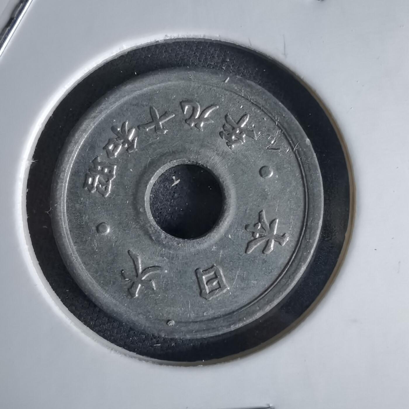 沼泽如烟--第1034场