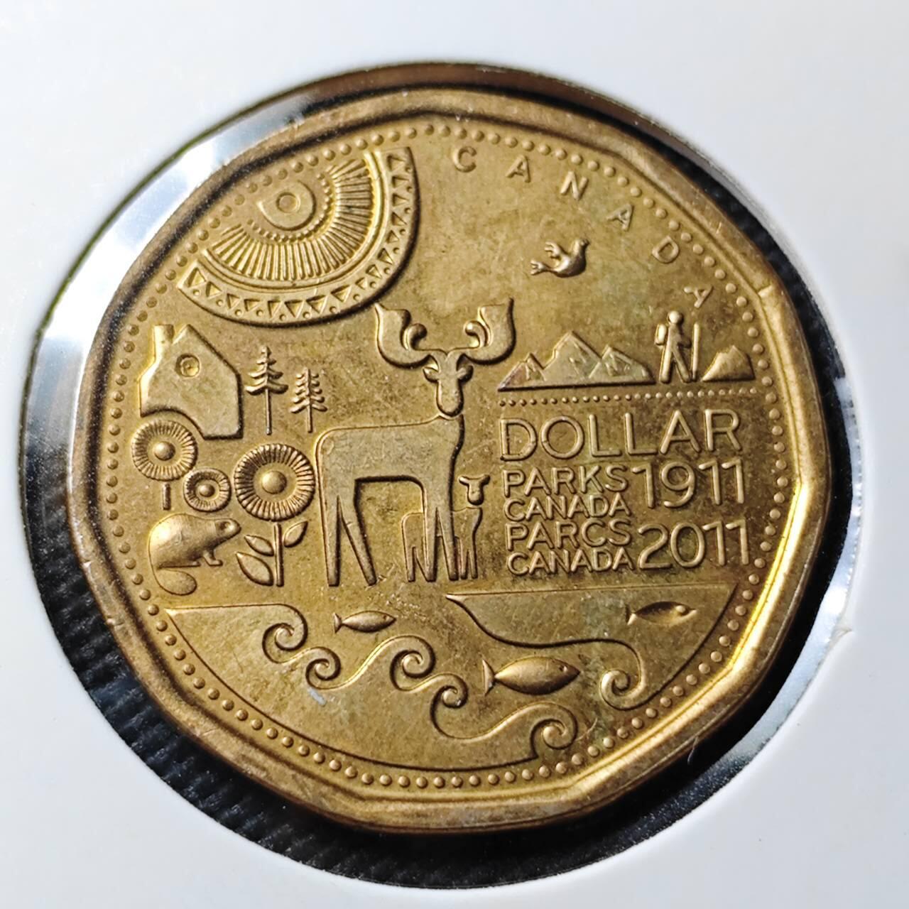 KK钱币收藏小铺  第408期 2月预留时间 周末发货  