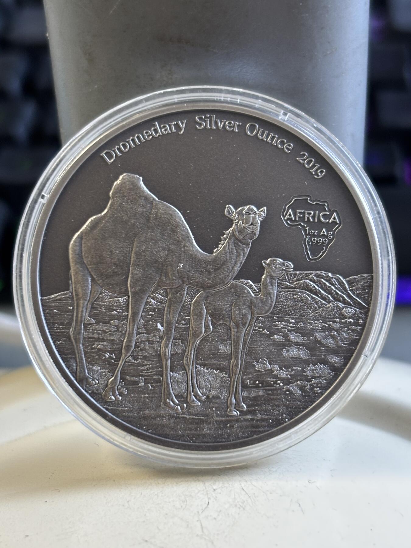 第195期拍卖 喀麦隆2019年动物骆驼1盎司仿古纪念银币，9999银，发行2000枚