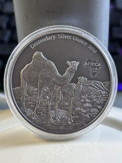 第195期拍卖 - 喀麦隆2019年动物骆驼1盎司仿古纪念银币，9999银，发行2000枚