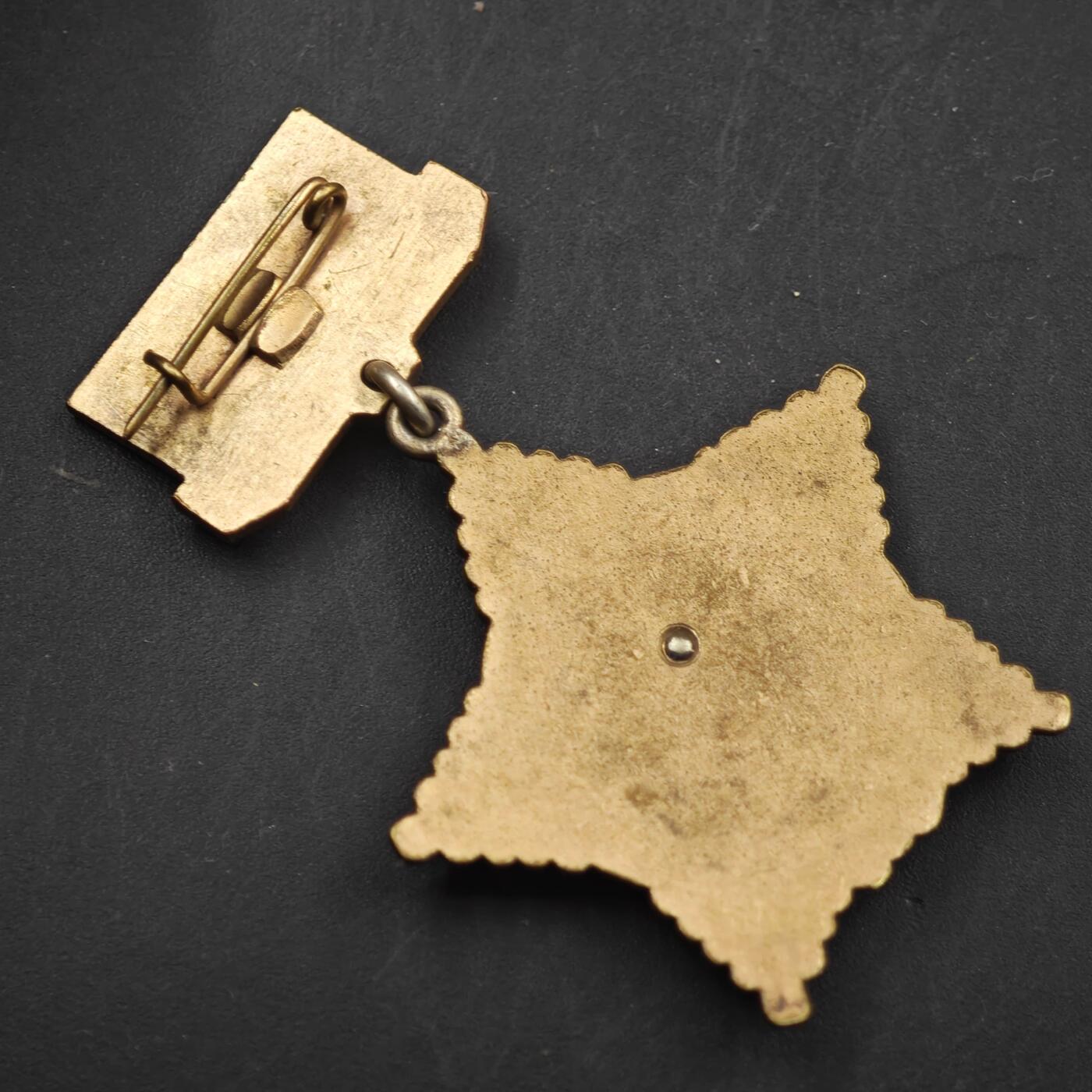 3月28日结束，精品成斌徽章钱币专场（明天继续更新） 苏联社会主义成立50周年纪念章