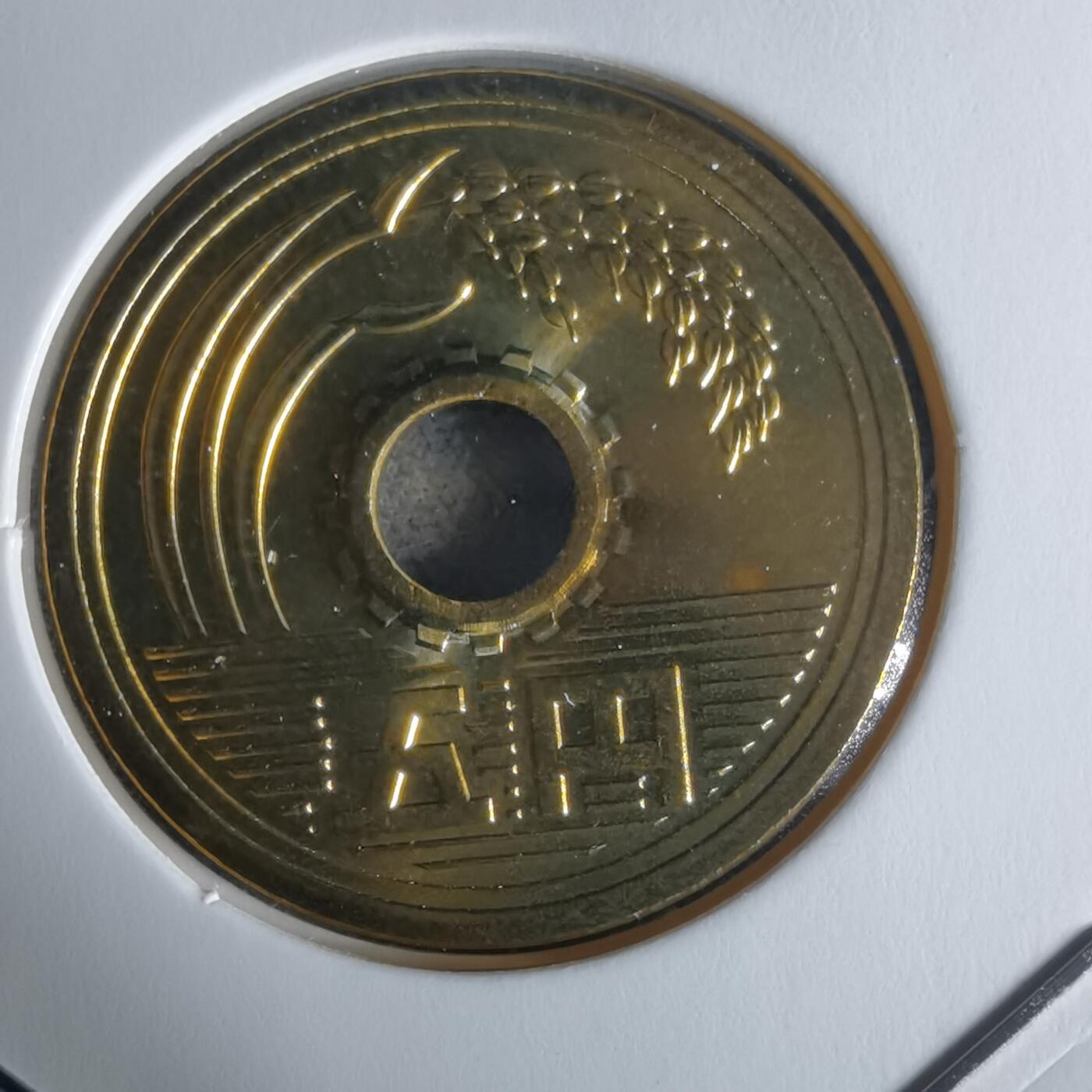 沼泽如烟--第1034场