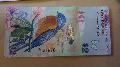 世界钱币～微拍第241期暨2026年第22期  部分新货（群里挑剩）陆续上架 - 2009年百慕大2元鸟钞 A1冠全新绝品无4尾号670