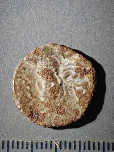 123期新疆红钱粟特钱币丝路钱币专场 - E2丝路铜币版式