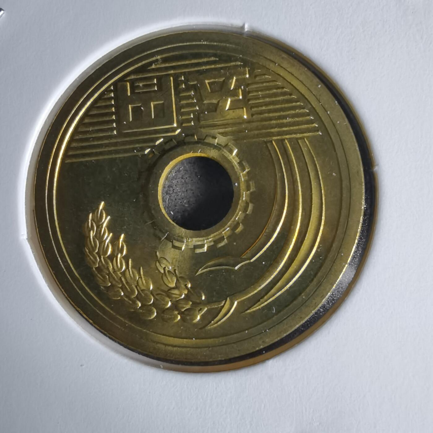 沼泽如烟--第1034场