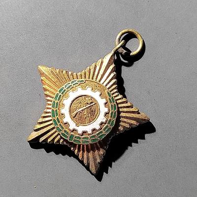 PCAI钱币  27-789  钱币证章邮票小专场 - 缅甸政府军奖章