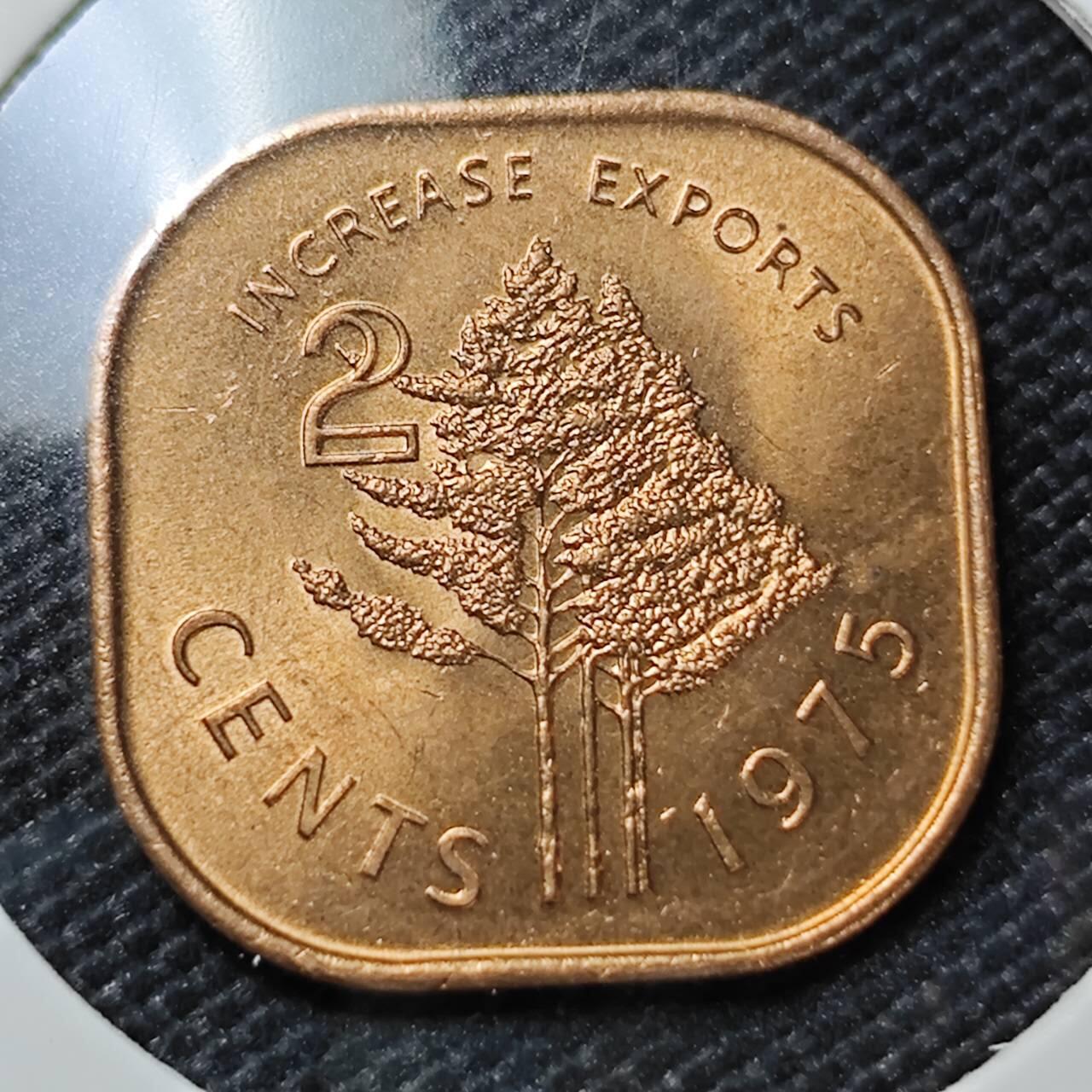 KK钱币收藏小铺  第409期 2月预留时间 周末发货  斯威士兰2分铜币 好品