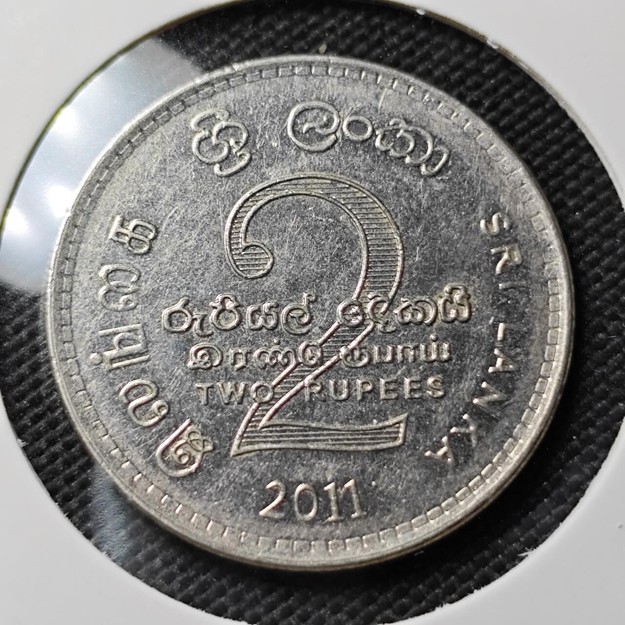 KK钱币收藏小铺  第408期 2月预留时间 周末发货  