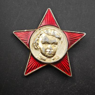 3月28日结束，精品成斌徽章钱币专场（明天继续更新） - 苏联少先队列宁纪念章