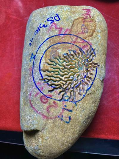 翡翠原石 - 翡翠原石