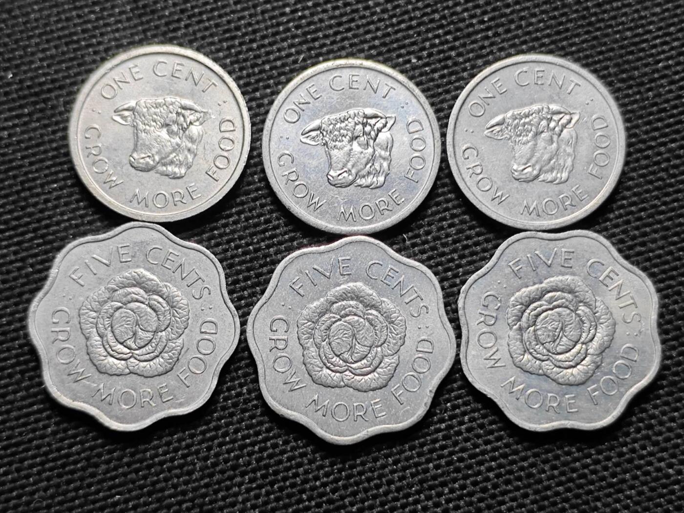 KK钱币收藏小铺  第408期 2月预留时间 周末发货  