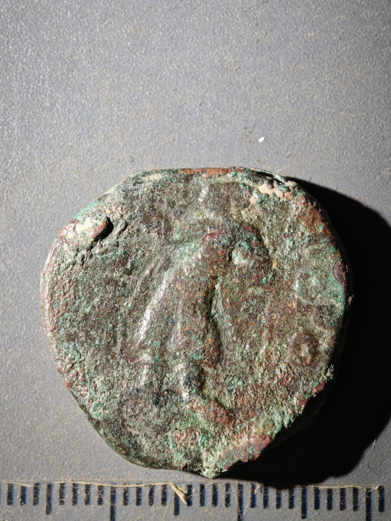 123期新疆红钱粟特钱币丝路钱币专场 F1丝路铜币版式