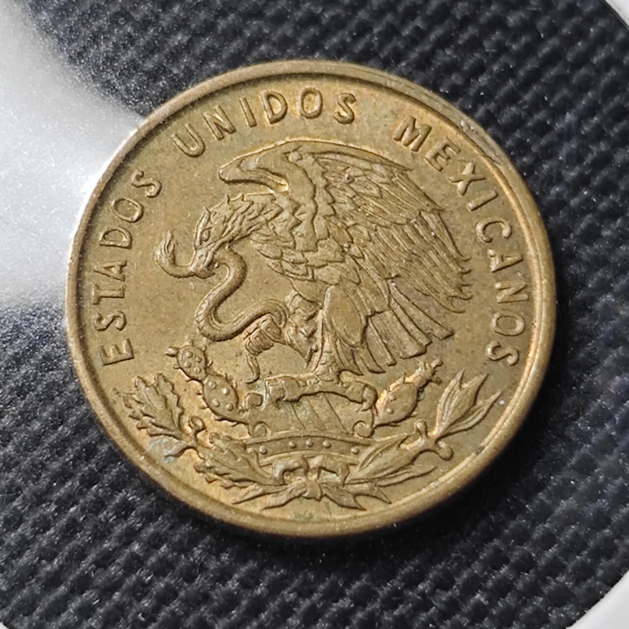 KK钱币收藏小铺  第408期 2月预留时间 周末发货  