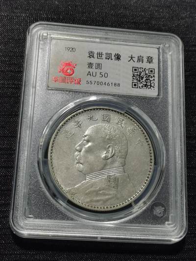 天下钱庄专场欢迎参拍 - 华夏评级AU50九年大肩章大头