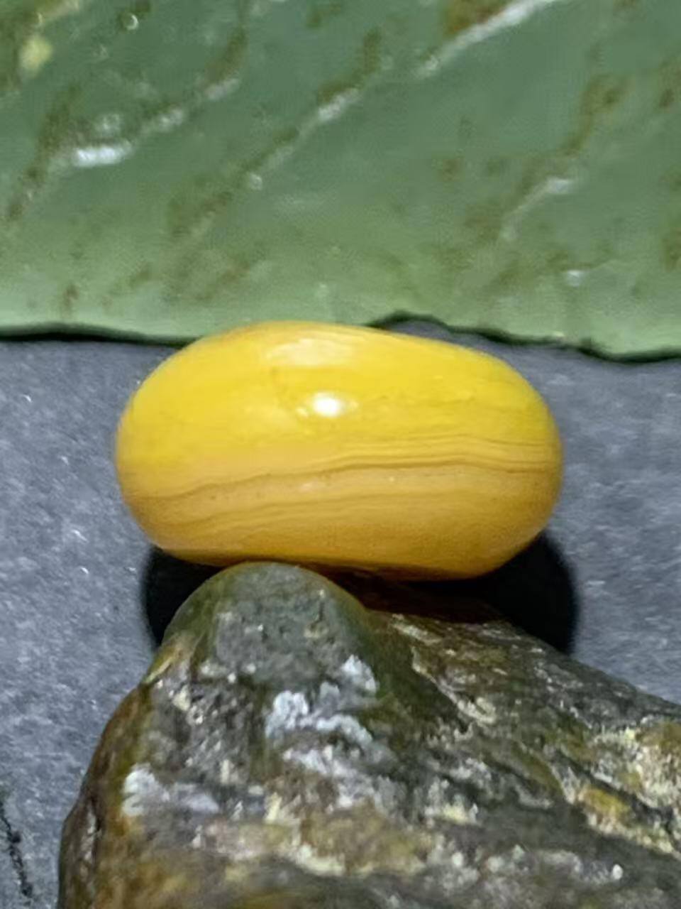 精美蒙料鸡油黄冻料战国红玛瑙随形算盘珠一个