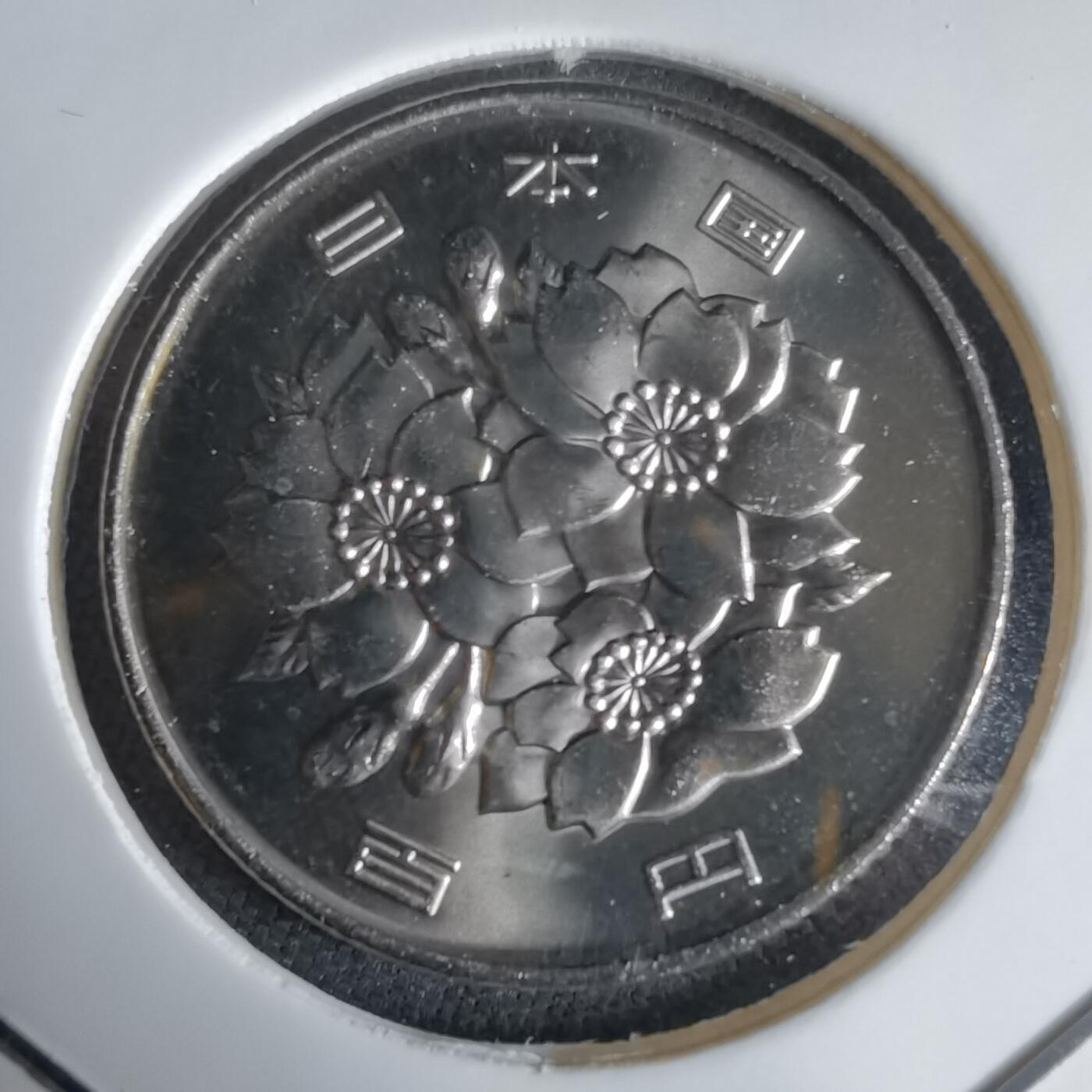 沼泽如烟--第1034场