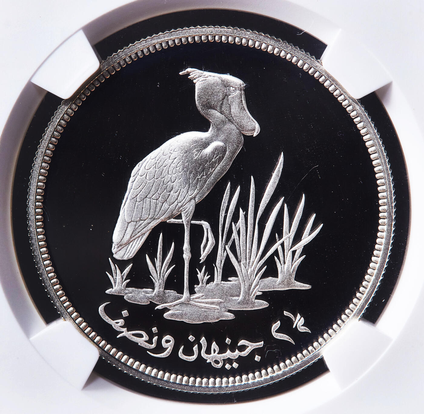 【俄甄集藏】2026年(050)04-01星期三 晚 19:30 全场包邮 苏丹1976年动物保护-鲸头鹳2.5镑精制大银币，NGC PF69UC，重28.28克。925银，发行量5590枚