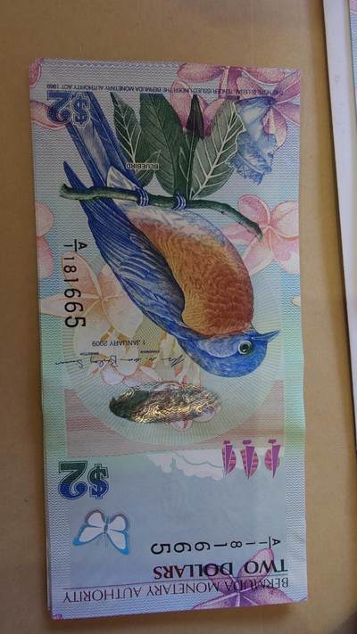 世界钱币～微拍第241期暨2026年第22期  部分新货（群里挑剩）陆续上架 - 2009年百慕大2元鸟钞 A1冠全新绝品无47尾号665