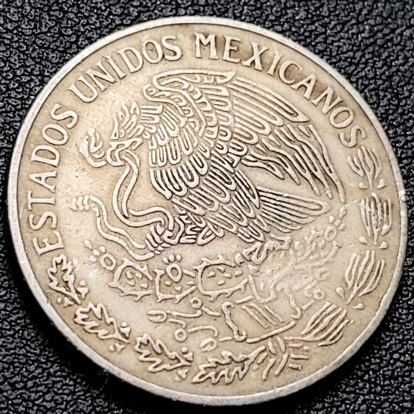 泉币菌-第216场-拍品多 请提前出价 。