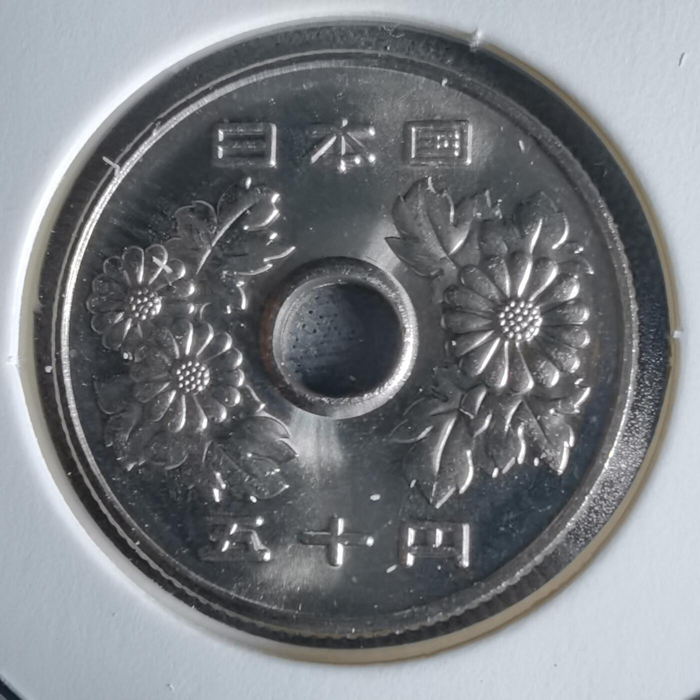 沼泽如烟--第1034场