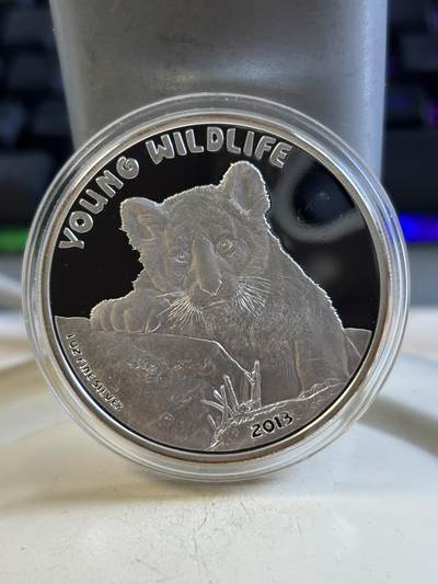 第195期拍卖 - 库克2013年动物幼崽系列1狮子1盎司精制纪念银币，999银，发行1000枚